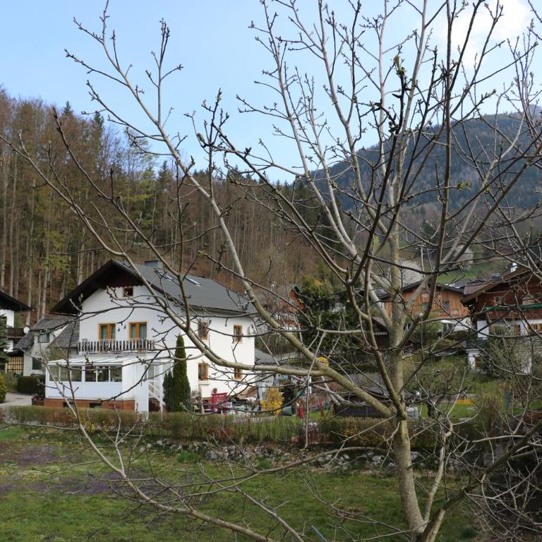 Wolf & Schaf Apartments - Monolocale Budget - Attico - 1