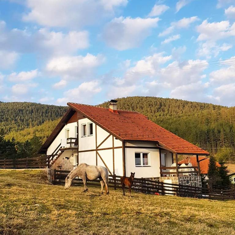 Vila Jela Tornik - Vikendica - 32