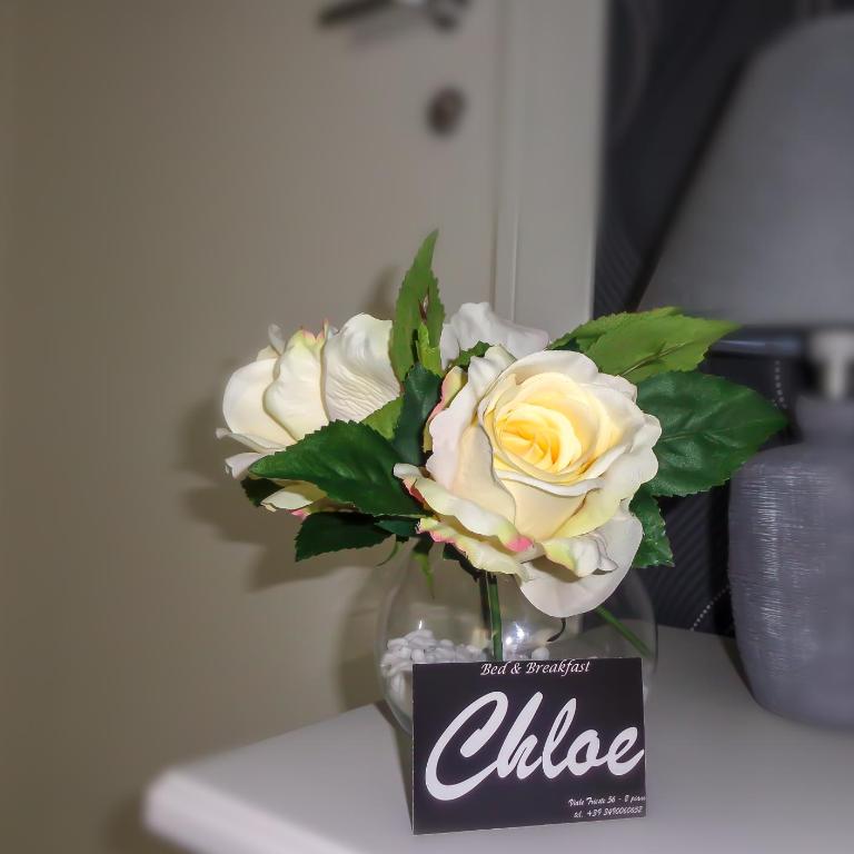 Chloe's Rooms - Camera Matrimoniale con Bagno Privato Esterno - 7