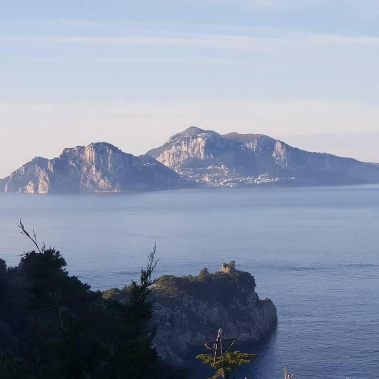 VILLA PISANI PISCINA GIARDINO TERRAZZI PANORAMICI SU CAPRI - Villa - 9