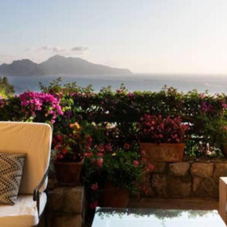 VILLA PISANI PISCINA GIARDINO TERRAZZI PANORAMICI SU CAPRI - Villa - 15