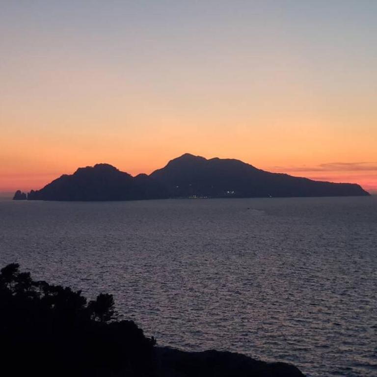 VILLA PISANI PISCINA GIARDINO TERRAZZI PANORAMICI SU CAPRI - Villa - 58