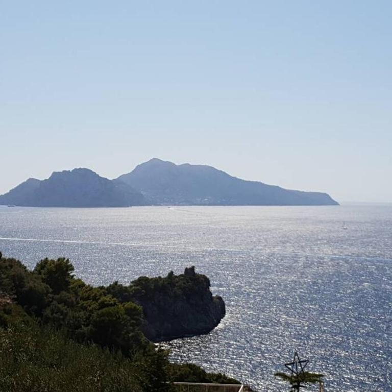 VILLA PISANI PISCINA GIARDINO TERRAZZI PANORAMICI SU CAPRI - Villa - 11