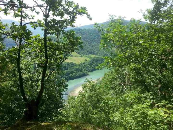 Drinska Tajna - Kuća sa 3 Spavaće Sobe - 31