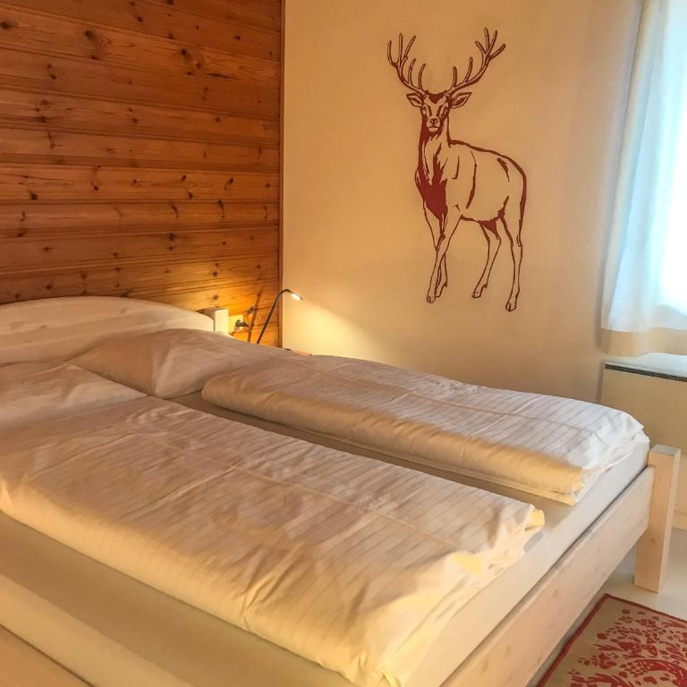 Apartmenthaus Rapplhof - Studio mit Balkon - 7