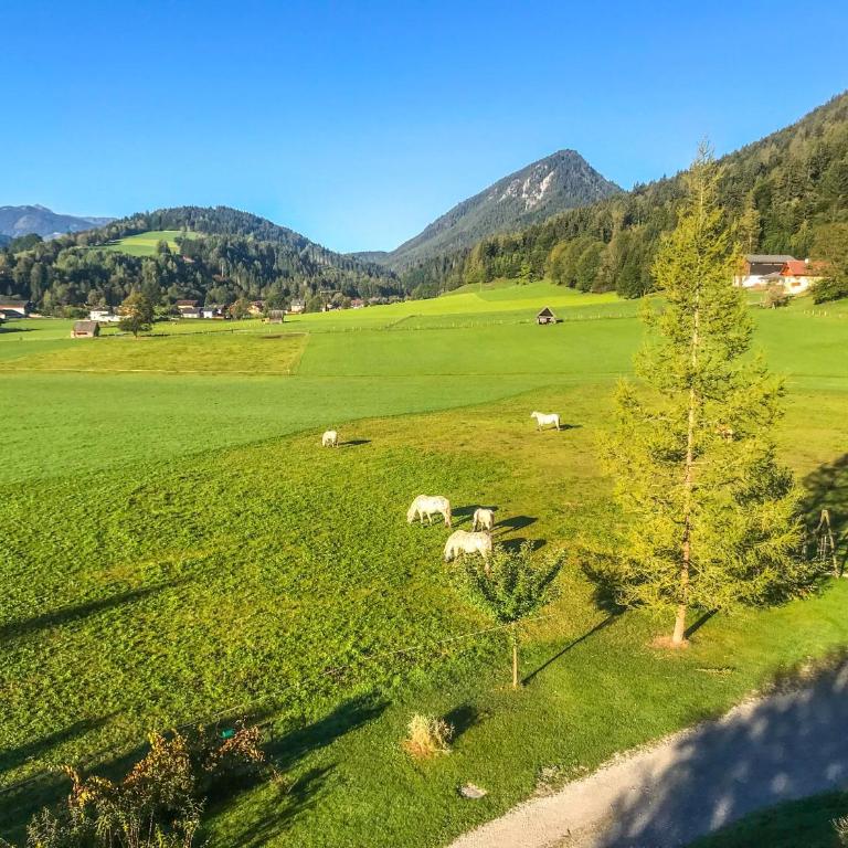 Apartmenthaus Rapplhof - Studio mit Balkon - 1