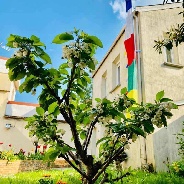 Reims Sherpa Guest House - Studio avec Vue sur Jardin - 11