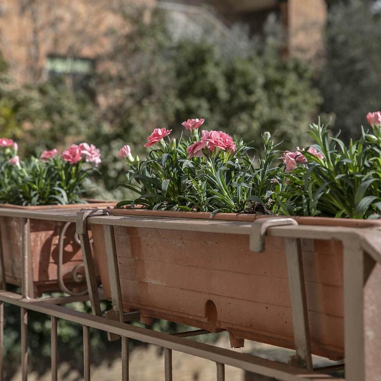 Villa Bonelli - Appartamento con 2 Camere da Letto - 13