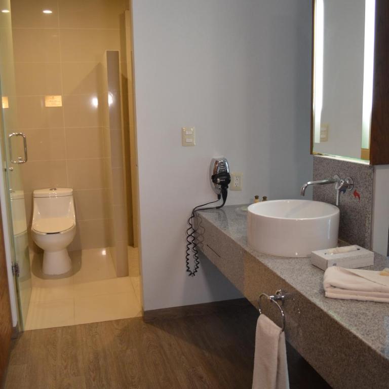 Plaza Camelinas Hotel - Executive Double Room - 1