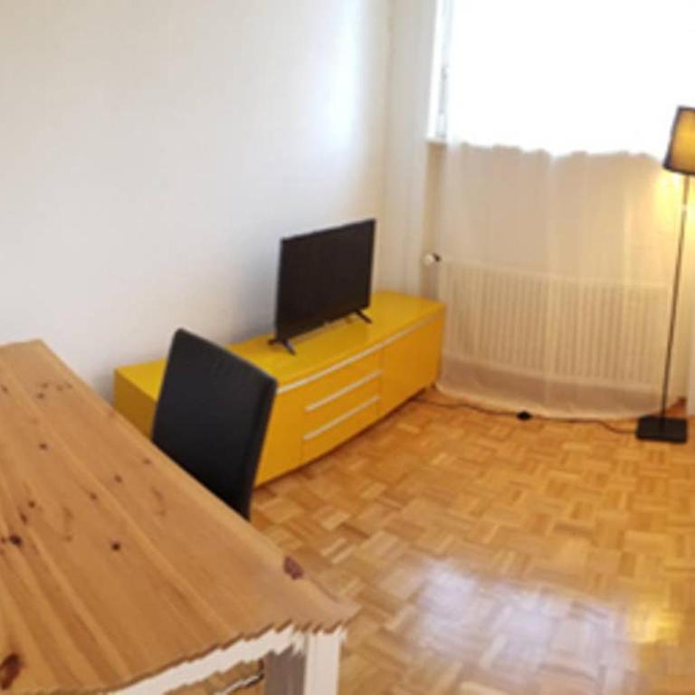 Off HSH Barre 6 - City Apartment next Cathedral Lausanne - Apartment mit 1 Schlafzimmer - 5