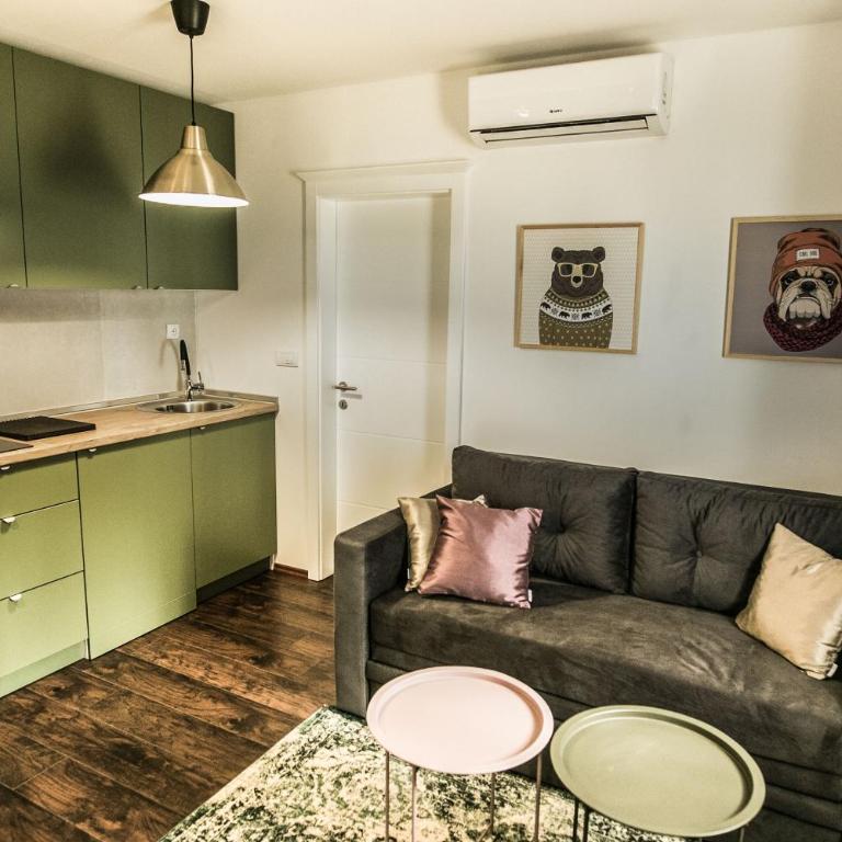 Polar Apartments Banja Luka LPIJ - Apartman sa 1 Spavaćom Sobom - 30