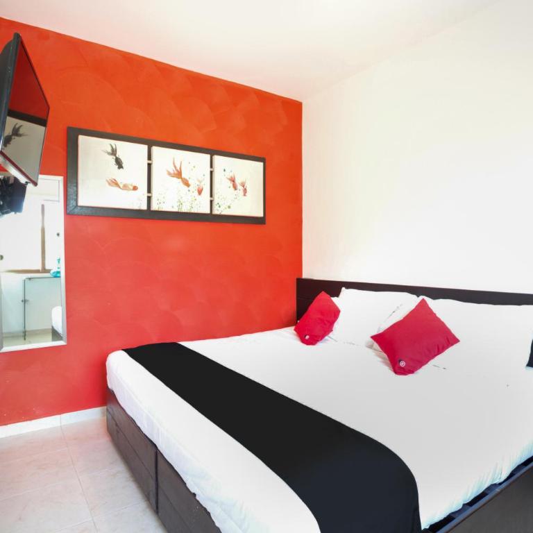 Quinta Santa Anita - Suite - 9