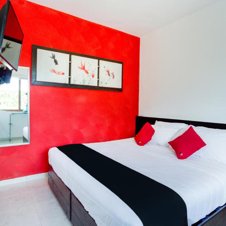 Quinta Santa Anita - Suite - 11