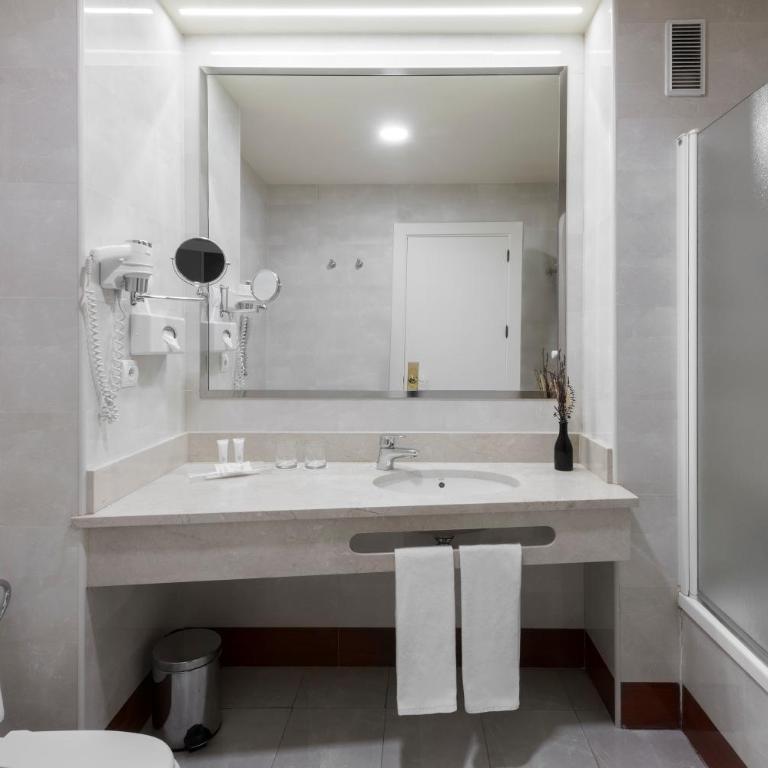 Elba Madrid Alcalá - Standard Double Room - 6