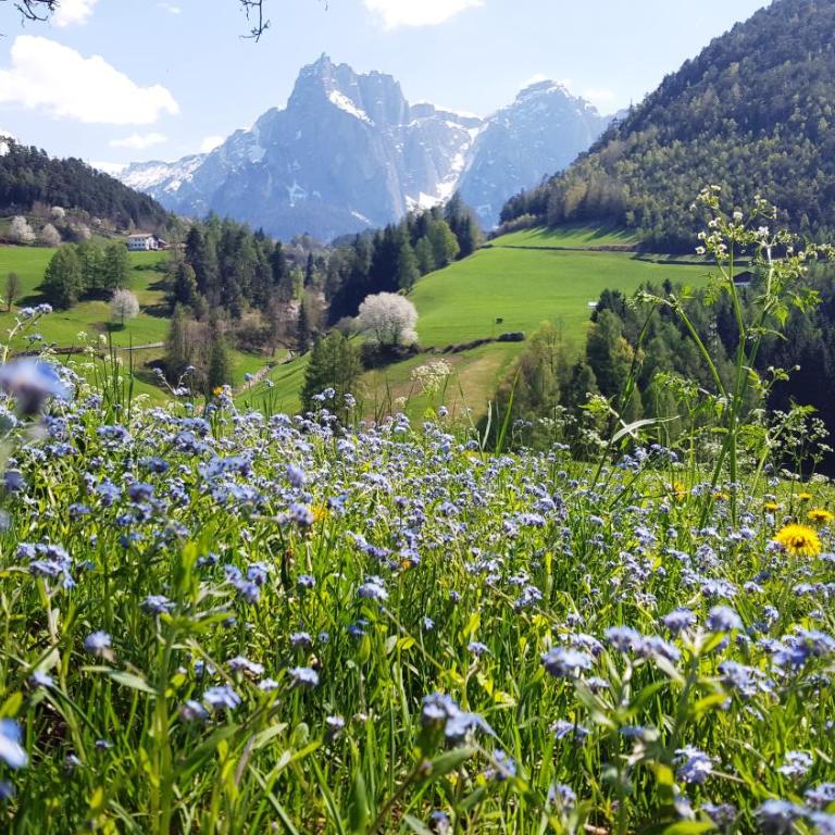 Sonnenresidenz Kastelruth - Studio (2 Adults) - 20