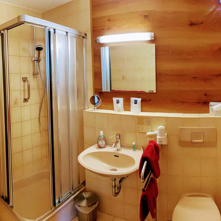 Hotel - Pension Alpenstern - Habitación Doble con balcón - 6