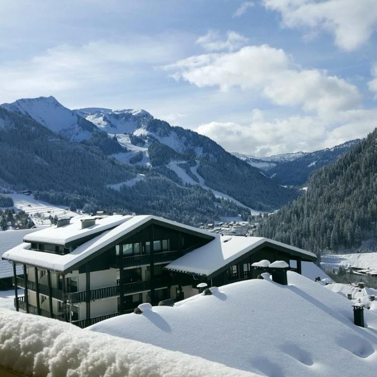 The View - Apt 03 - BO Immobilier - Châtel Multipass été 2026 en option au tarif de 4euros par jour et par personne - Appartement 3 Chambres - 23