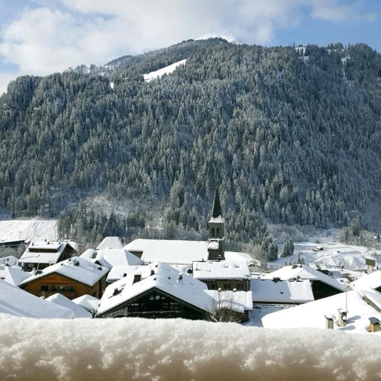 The View - Apt 03 - BO Immobilier - Châtel Multipass été 2026 en option au tarif de 4euros par jour et par personne - Appartement 3 Chambres - 21