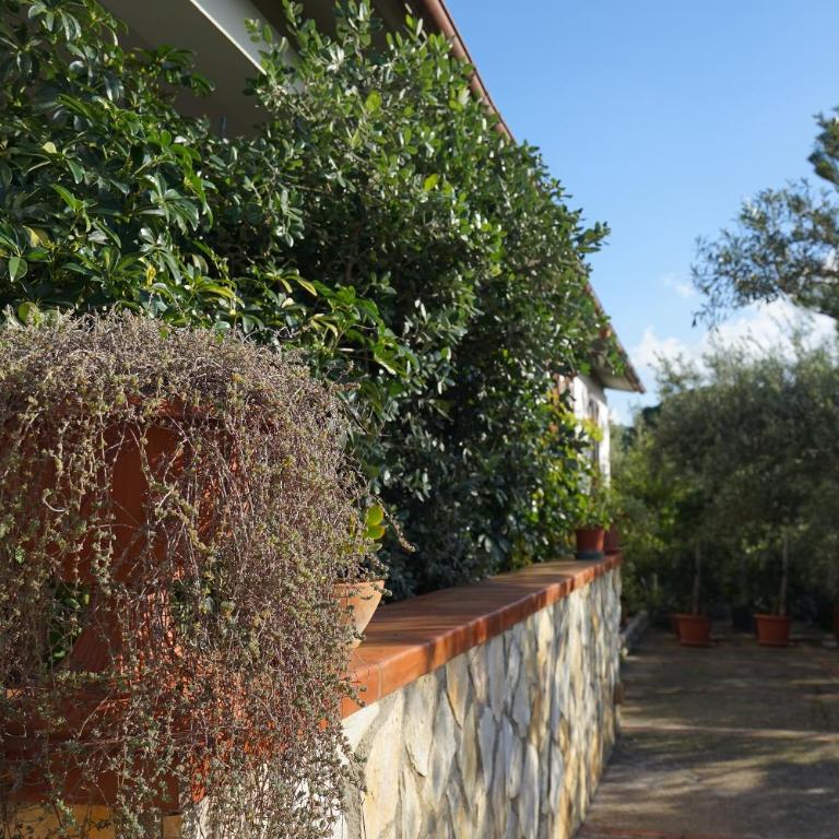 Villa Caterina Scopello - Appartamento con 2 Camere da Letto - 11