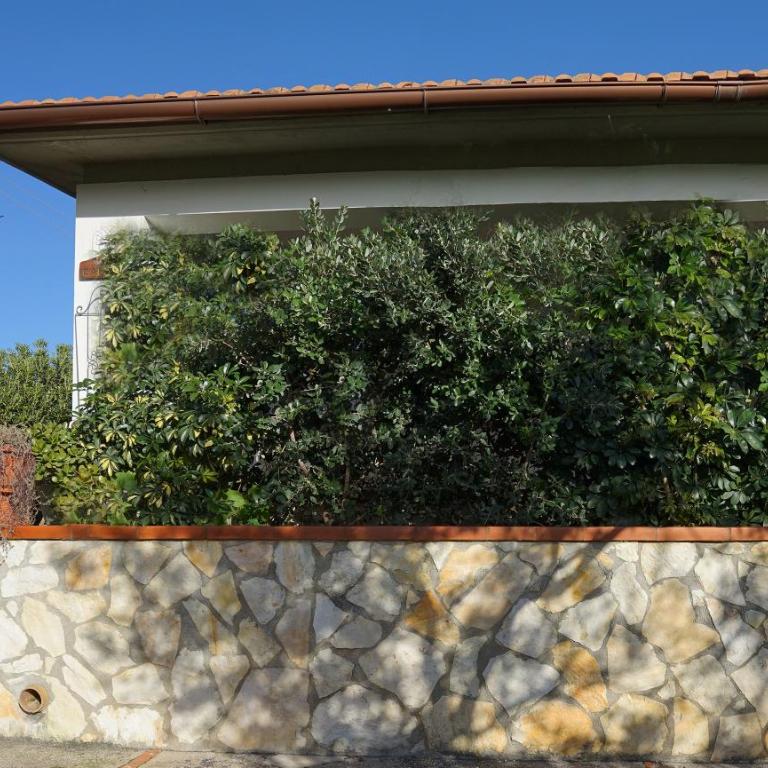 Villa Caterina Scopello - Appartamento con 2 Camere da Letto - 12