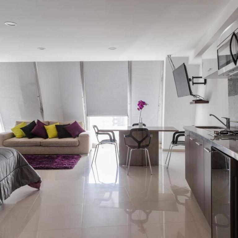 Increible Loft en PH Zona Polanco B - Apartamento de 1 dormitorio - 5