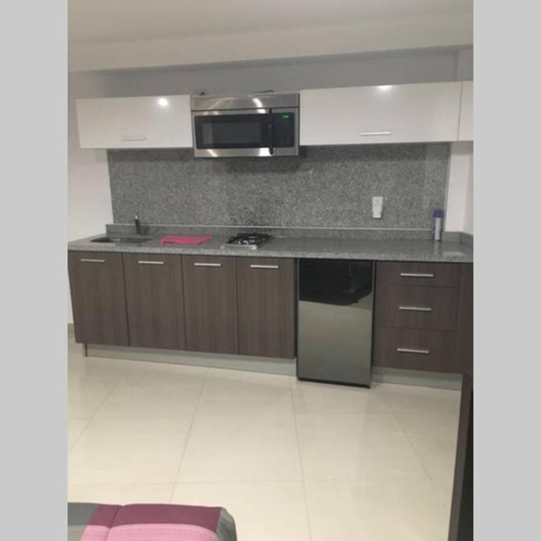 Increible Loft en PH Zona Polanco B - Apartamento de 1 dormitorio - 10