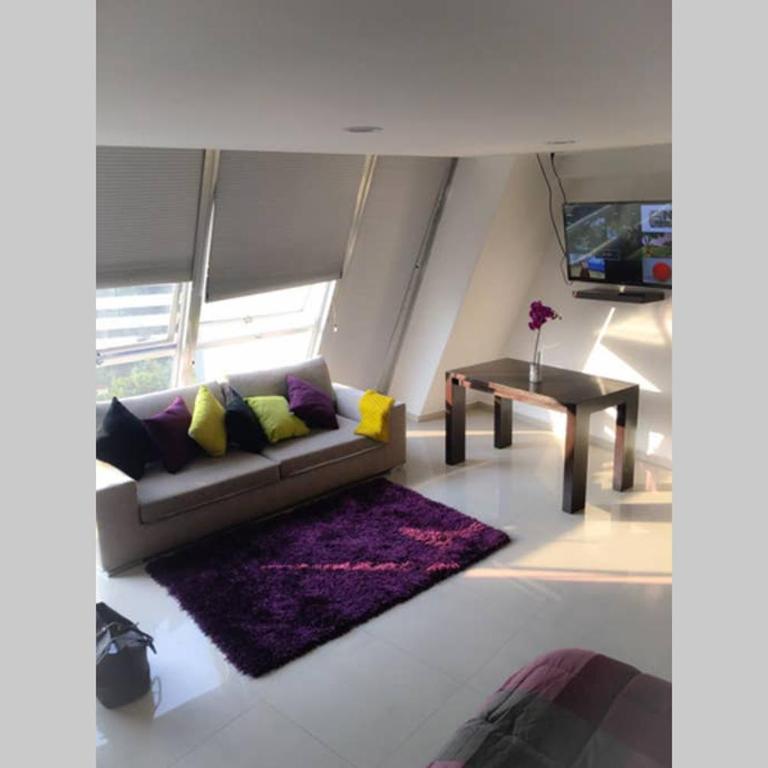 Increible Loft en PH Zona Polanco B - Apartamento de 1 dormitorio - 11