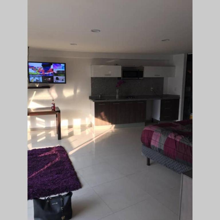 Increible Loft en PH Zona Polanco B - Apartamento de 1 dormitorio - 14