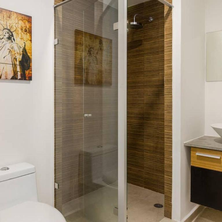 Increible Loft en PH Zona Polanco B - Apartamento de 1 dormitorio - 17