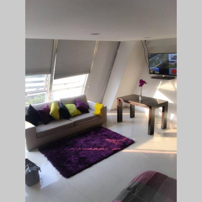 Increible Loft en PH Zona Polanco B - Apartamento de 1 dormitorio - 29
