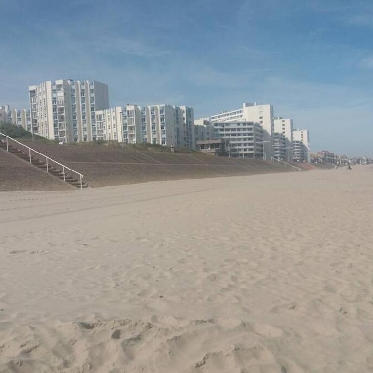 Centre de Dunkerque, Appartement RDC, 2 personnes, parking privé - Apartment - Erdgeschoss - 48