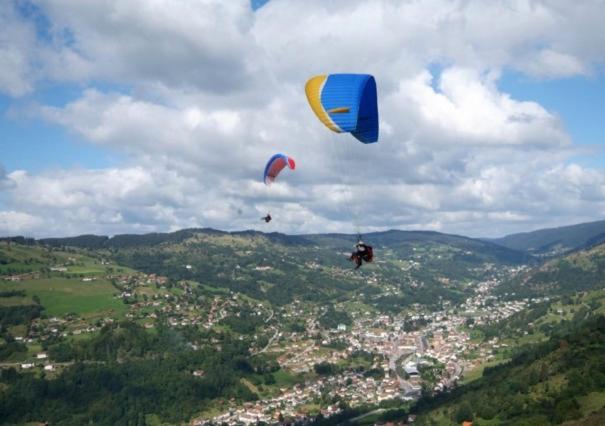 La SALAMANDRE - Appartement - 20
