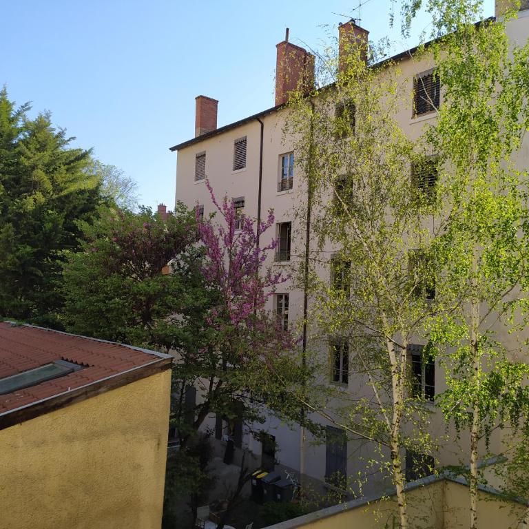 Berge du Rhône, Centre Lyon, espace de travail, tout à pied, Université Lyon 2 et Lyon 3, idéal voyage d'affaires, tourisme, loisirs - Studio - 7