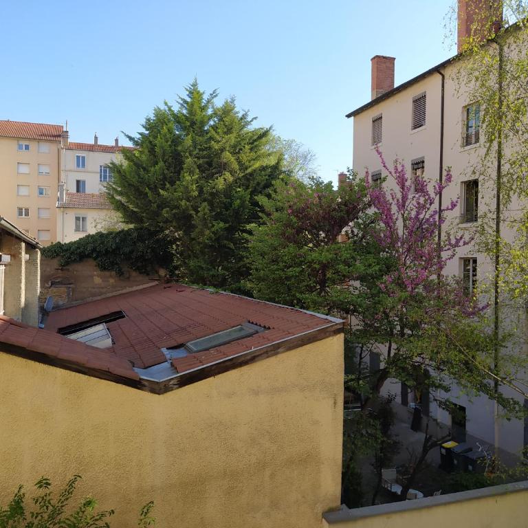 Berge du Rhône, Centre Lyon, espace de travail, tout à pied, Université Lyon 2 et Lyon 3, idéal voyage d'affaires, tourisme, loisirs - Studio - 22