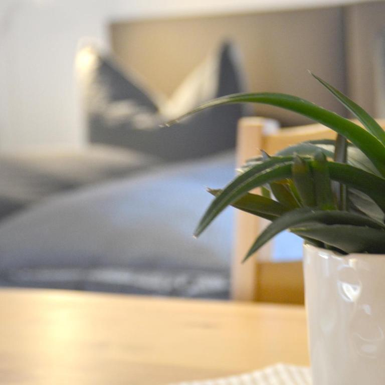 Pension Almhof Baumgarten - Doppelzimmer mit Balkon - 6