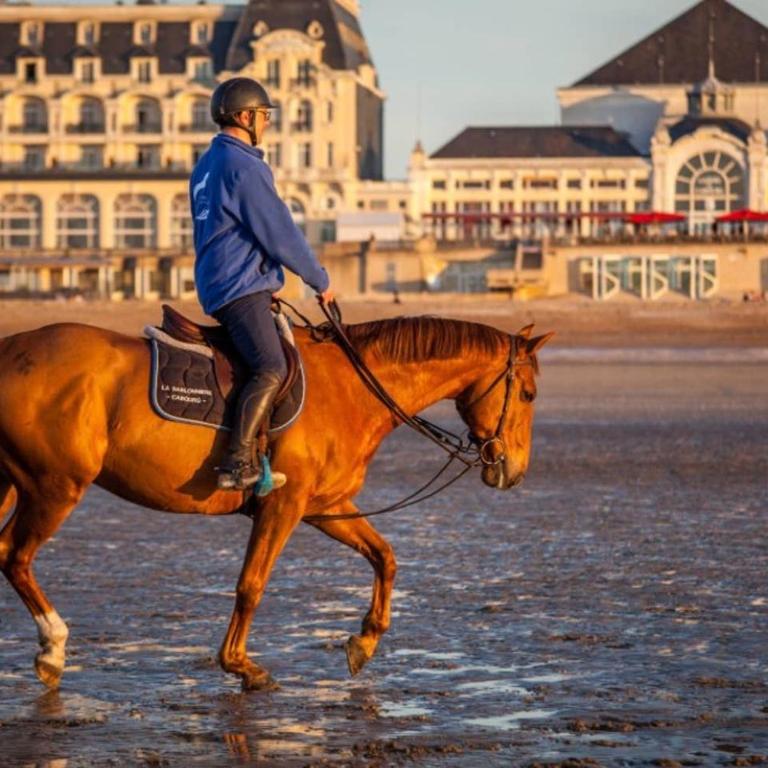 Home sweet home Cabourg plage - Apartamento de 1 dormitorio - 10