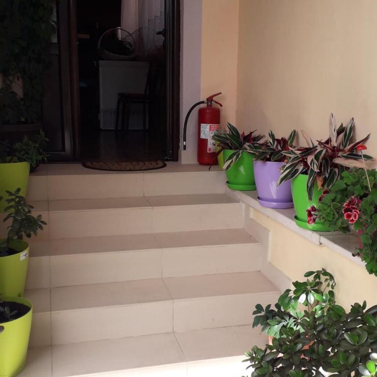 Apartments Vučinović - Studio sa Balkonom i Pogledom na More - 21