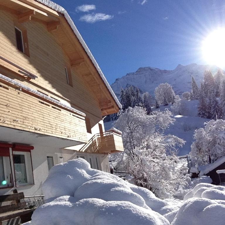 Chalet Viola - Apartment mit 1 Schlafzimmer - 2