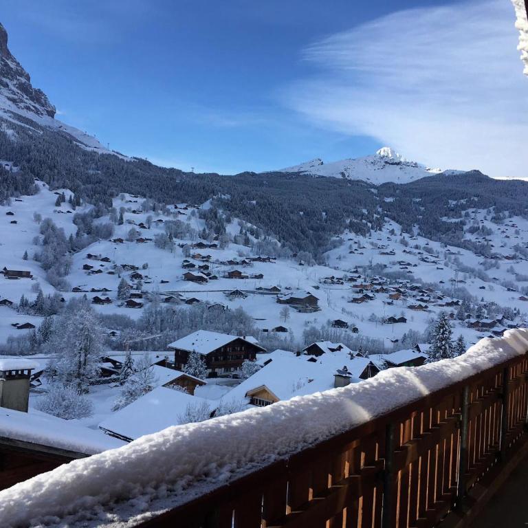 Silberhorn - Penthouse-Apartment - 9