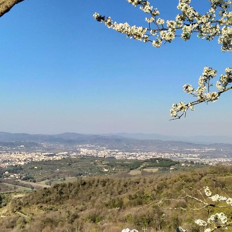 Podere Fusai - Villa - 43