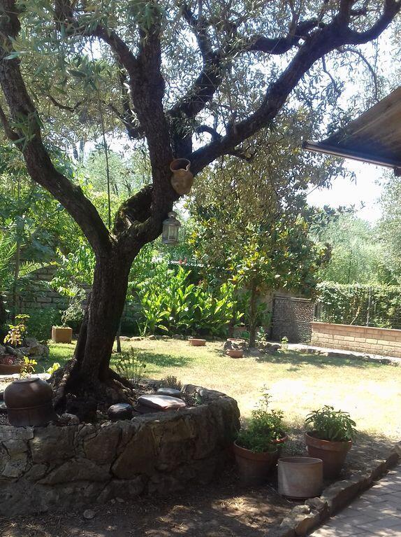 Loft con giardino in zona Appia Antica - One-Bedroom Apartment - 2