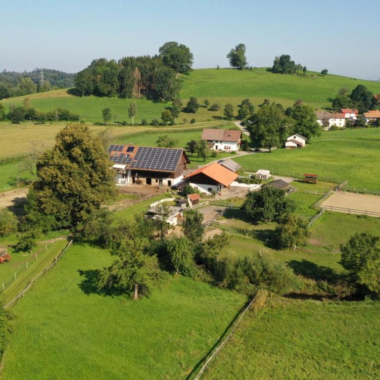 Carlo - Apartment mit Terrasse - 4