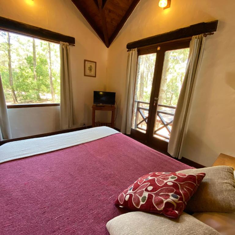 Complejo de Cabañas Tunquelen - Bungalow Deluxe con vistas al jardín - 5