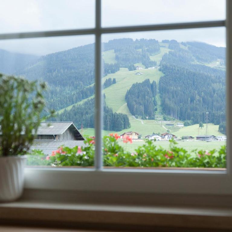 Urlaubsland Sonnfeld - Apartment mit 1 Schlafzimmer - 6