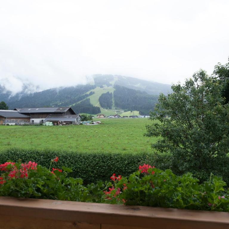 Urlaubsland Sonnfeld - Apartment mit 1 Schlafzimmer - 1