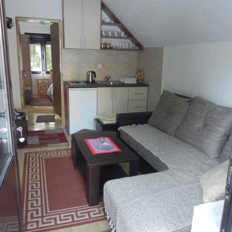 Apartments Vuković - Apartman sa 1 Spavaćom Sobom - 17