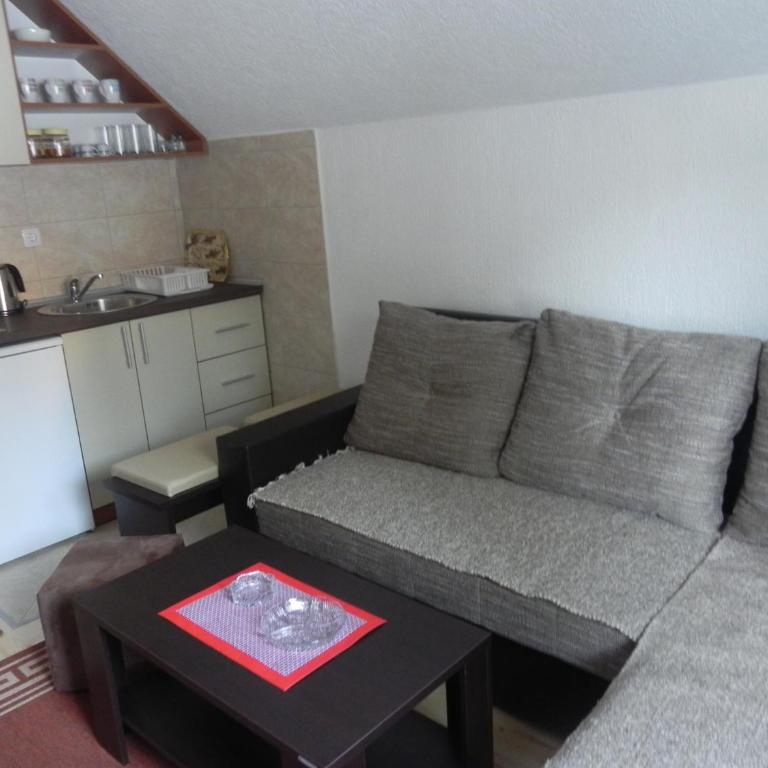 Apartments Vuković - Apartman sa 1 Spavaćom Sobom - 13