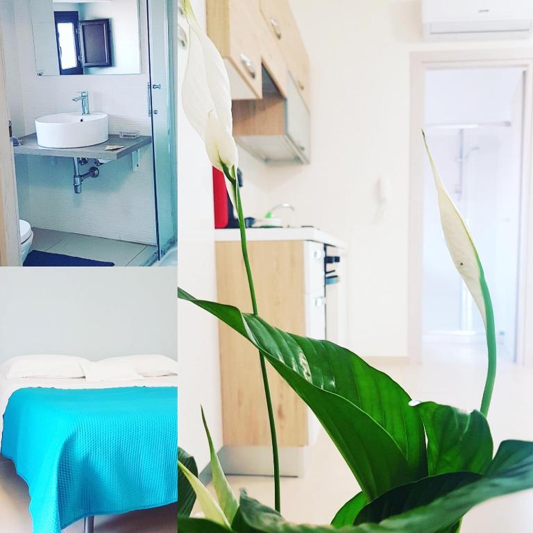 Scuto Home - Studio - 16