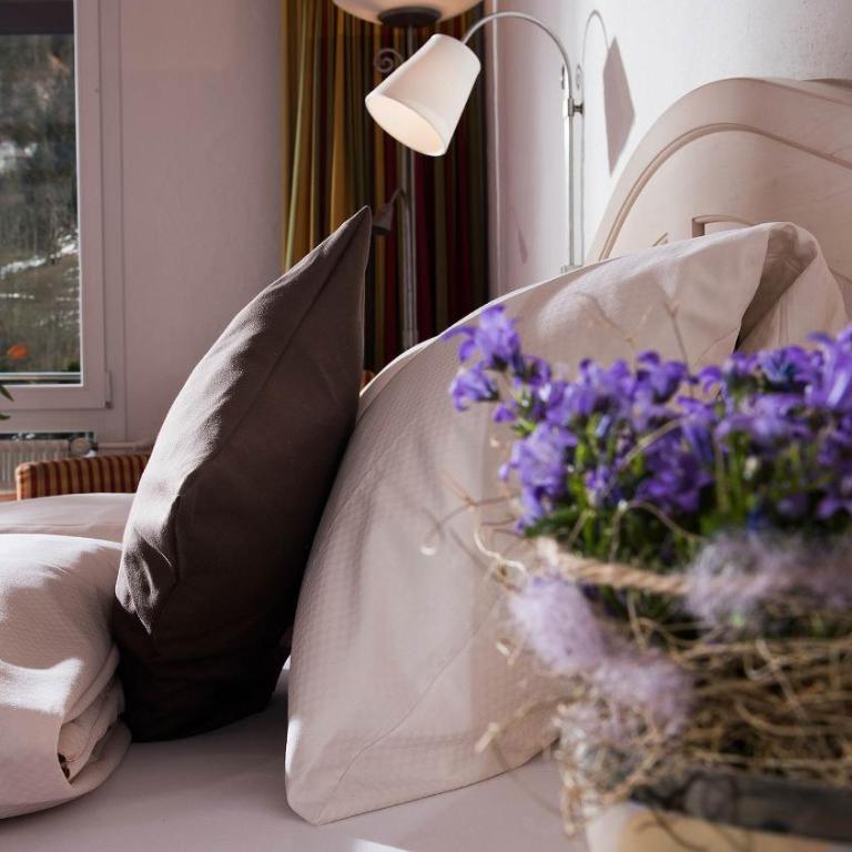 Hotel Silberhorn - Standard - 8