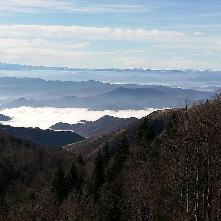 Apartment A13 Kopaonik - Apartment with Mountain View - 12